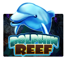 dolphinreef